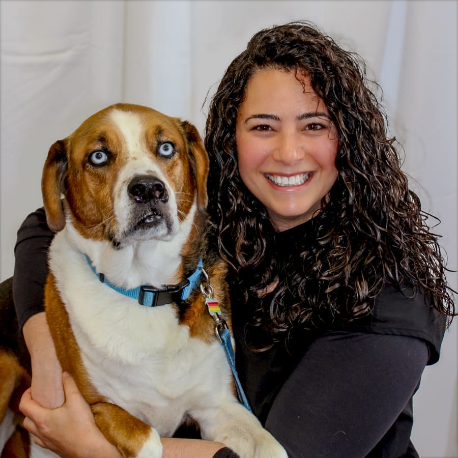 Dr. Jessica Kaplan, Voorhees Veterinarian