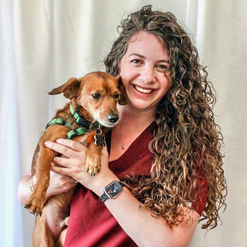 Dr. Lisa Brody, Voorhees Veterinarian, Medical Director